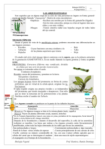 Arquegoniadas: Briofitas, Pteridofitas, Gimnospermas | Biolog&iacute;a Vegetal
