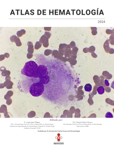 Atlas de Hematolog&iacute;a 2024: Gu&iacute;a de Trastornos Sangu&iacute;neos
