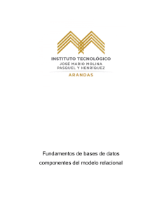 Fundamentos de Bases de Datos: Modelo Relacional y Componentes Clave