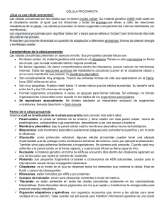 C&eacute;lula Procariota: Definici&oacute;n, Caracter&iacute;sticas, Partes y Funciones