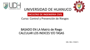 Gestión de Riesgos en Ingeniería Civil: Índices y Tasas
