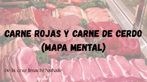 Carne Rojas y Cerdo: Definici&oacute;n, Beneficios y Riesgos (Mapa Mental)
