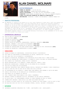 Curr&iacute;culum Vitae - Alan Daniel Molinari