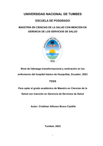 Liderazgo Transformacional y Motivaci&oacute;n en Enfermeros: Estudio en Huaquillas