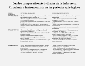 Actividades de Enfermeras Quir&uacute;rgicas: Circulante e Instrumentista
