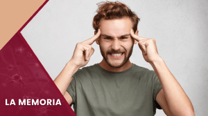 La Memoria: Definici&oacute;n, Fases, Sistemas, Tipos y Amnesias