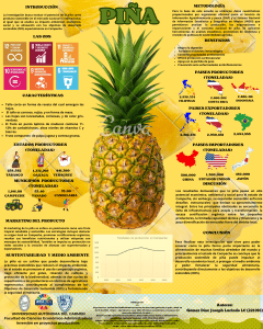 Piña Sostenible: Potencial Económico y Ambiental en Campeche