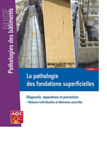 Patologia Fundament&oacute;w Płytkich: Diagnoza i Zapobieganie