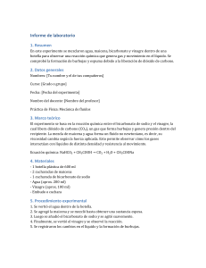 Informe de Laboratorio: Reacci&oacute;n Bicarbonato-Vinagre y Fluidos No Newtonianos