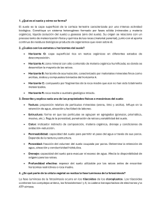 Conceptos Clave: Suelo, Fotos&iacute;ntesis y Bacterias Nitrificantes