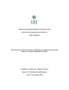 Rol del Terapeuta Ocupacional en Rehabilitaci&oacute;n de Drogas