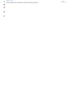 Guía de Producción de Repollo: Buenas Prácticas Agrícolas