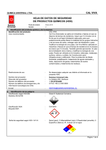 HDS Cal Viva: Seguridad y Manipulaci&oacute;n Qu&iacute;mica Universal