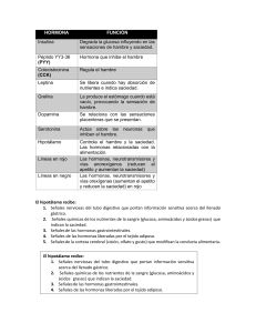 Hormonas y Regulaci&oacute;n del Hambre y Saciedad: Gu&iacute;a Completa