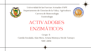 Activadores Enzimáticos: Mecanismos, Cinética y Ejemplos | ESPE Biotecnología