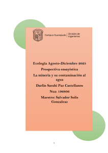 Miner&iacute;a y Contaminaci&oacute;n del Agua: Prospectiva Ensay&iacute;stica