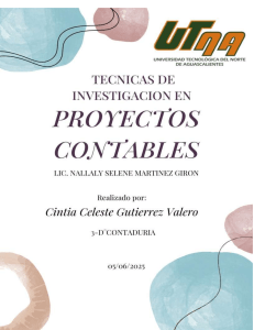 T&eacute;cnicas de Investigaci&oacute;n para Proyectos Contables | Gu&iacute;a Completa