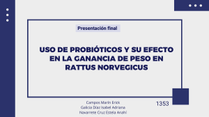 Probi&oacute;ticos y Ganancia de Peso en Rattus norvegicus: Estudio Experimental