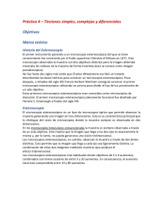 Pr&aacute;ctica 4: Tinciones Microsc&oacute;picas y Estereoscopio en Microbiolog&iacute;a