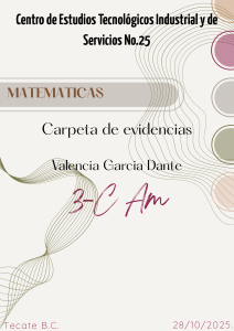 Carpeta de Evidencias Matem&aacute;ticas - CETIS No.25 - Dante Valencia