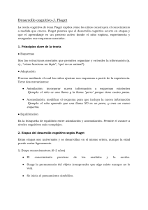 Desarrollo Cognitivo seg&uacute;n Piaget: Etapas y Principios Clave
