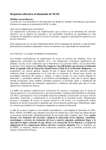 Adaptaciones Curriculares NEAE: Gu&iacute;a Educativa