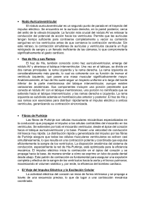 Sistema de Conducci&oacute;n El&eacute;ctrica del Coraz&oacute;n: Resumen