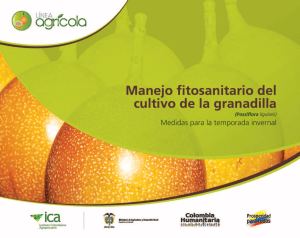 Manejo Fitosanitario Granadilla: Medidas Invernales (Passiflora ligularis)