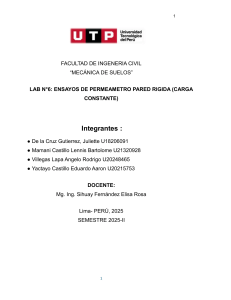 Informe de Laboratorio: Ensayos de Perme&aacute;metro Pared R&iacute;gida