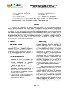 Informe de Laboratorio: Identificaci&oacute;n de Carbono e Hidr&oacute;geno en Qu&iacute;mica Org&aacute;nica