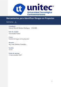 Herramientas para Identificar Riesgos en Proyectos