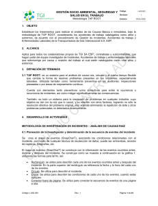 Metodolog&iacute;a TAP ROOT: An&aacute;lisis de Causas Ra&iacute;z en Seguridad Laboral