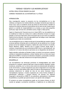 VERDAD Y DESAFIO "Micro pl&aacute;sticos"