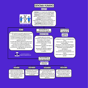 RESUMEN DE GENOMA VIRAL