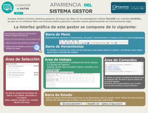 N2-leccion2-apariencia del sistema gestor
