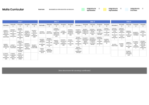 Malla Curricular Ingenier&iacute;a en Prevenci&oacute;n de Riesgos