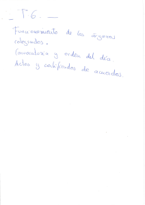 Gu&iacute;a &Oacute;rganos Colegiados Locales