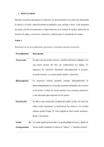 Informe de Pr&aacute;ctica Quir&uacute;rgica Veterinaria