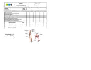 Formato Checklist Preoperacional Escalera
