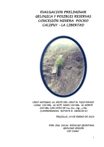Informe Geol&oacute;gico Concesi&oacute;n Minera Pocho