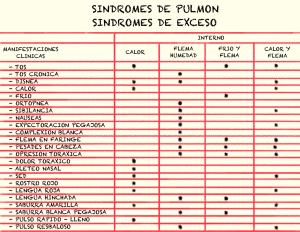 Gu&iacute;a de S&iacute;ndromes Pulmonares en MTC