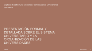 Sistema Universitario: Estructura, Funciones y Organizaci&oacute;n