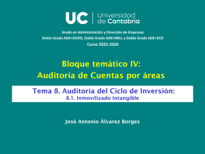 Auditor&iacute;a del Inmovilizado Intangible Tema 8