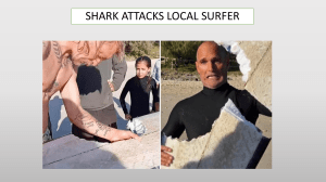 ESL Journalism Interviewing Worksheet