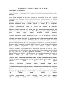Etapas del Desarrollo Infantil de Gesell