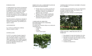TRIPTICO LITZI.