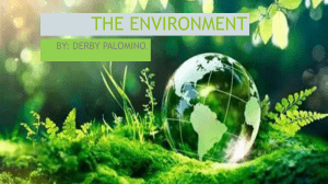 What is the Environment?