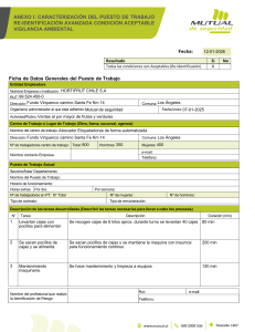 Evaluaci&oacute;n de Riesgos Ergon&oacute;micos y Caracterizaci&oacute;n del Puesto