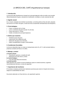 Gu&iacute;a Manejo Broca del Caf&eacute;