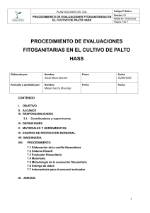 Procedimiento de Evaluaciones Fitosanitarias en Palto Hass